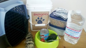 Emergency Pet Items