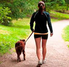 Be Aware of These 2 Dog Walking Hazards